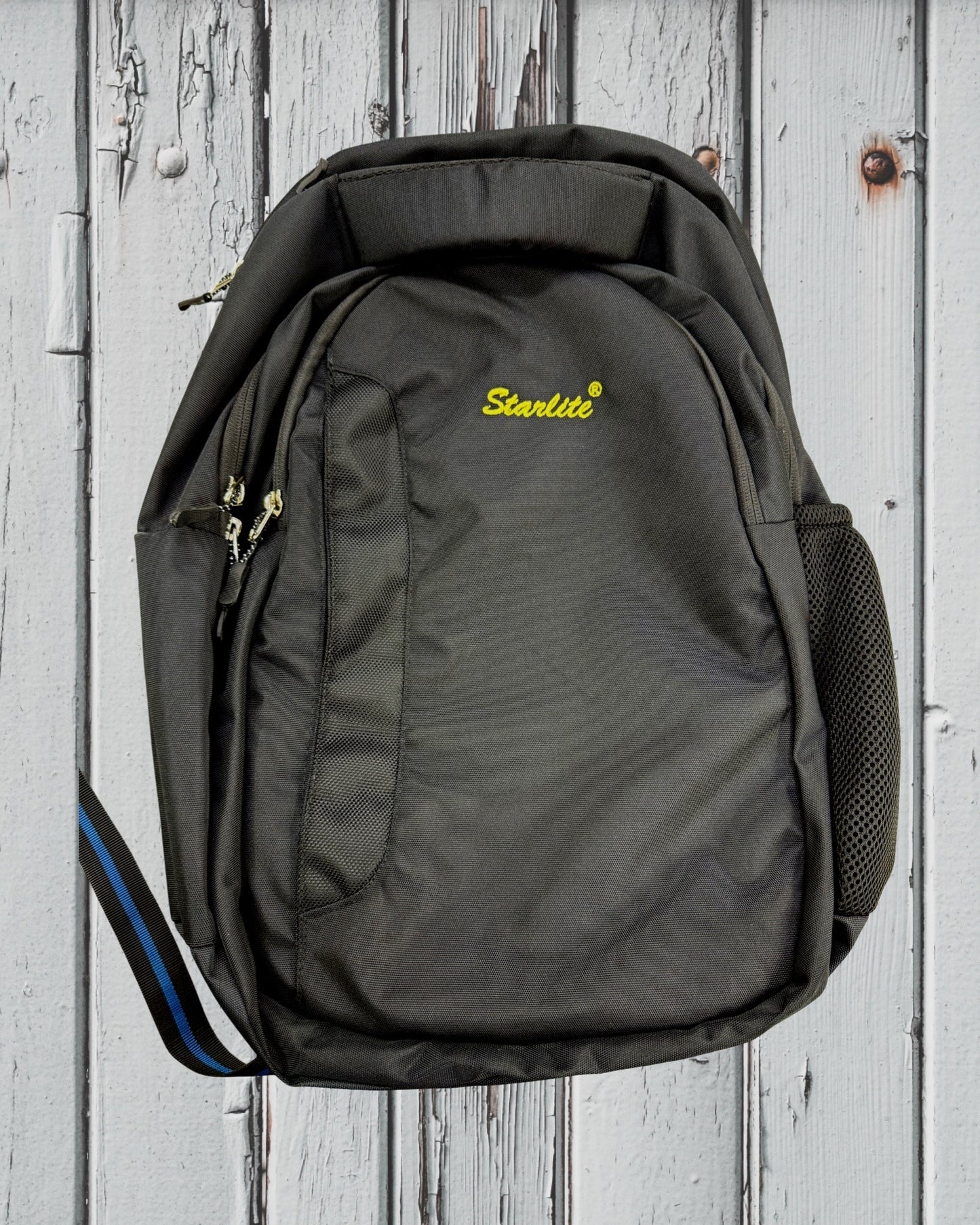 BackPack 20x13 Inch