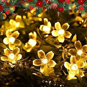 14 LED 3 Meter String Lights for Home Decoration | Home Decoration Lights for Diwali, Christmas, New Year